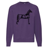 Classic 80/20 Raglan Sweatshirt Thumbnail