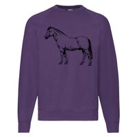 Classic 80/20 Raglan Sweatshirt Thumbnail