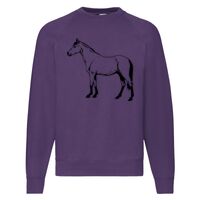 Classic 80/20 Raglan Sweatshirt Thumbnail