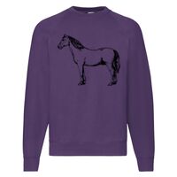 Classic 80/20 Raglan Sweatshirt Thumbnail