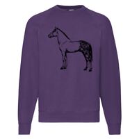 Classic 80/20 Raglan Sweatshirt Thumbnail