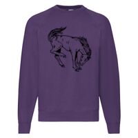 Classic 80/20 Raglan Sweatshirt Thumbnail