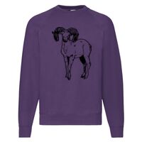 Classic 80/20 Raglan Sweatshirt Thumbnail