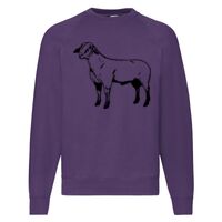 Classic 80/20 Raglan Sweatshirt Thumbnail