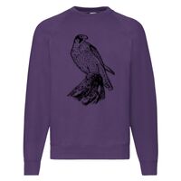 Classic 80/20 Raglan Sweatshirt Thumbnail