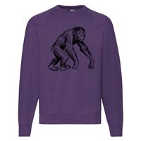 Classic 80/20 Raglan Sweatshirt Thumbnail