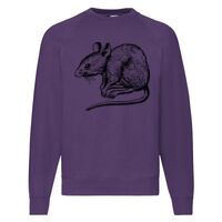 Classic 80/20 Raglan Sweatshirt Thumbnail