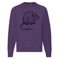 Classic 80/20 Raglan Sweatshirt Thumbnail