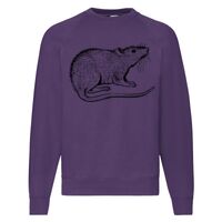 Classic 80/20 Raglan Sweatshirt Thumbnail