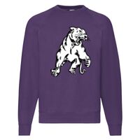 Classic 80/20 Raglan Sweatshirt Thumbnail