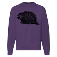 Classic 80/20 Raglan Sweatshirt Thumbnail