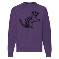 Classic 80/20 Raglan Sweatshirt Thumbnail