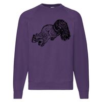 Classic 80/20 Raglan Sweatshirt Thumbnail