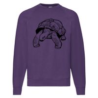 Classic 80/20 Raglan Sweatshirt Thumbnail