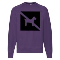 Classic 80/20 Raglan Sweatshirt Thumbnail