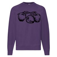 Classic 80/20 Raglan Sweatshirt Thumbnail