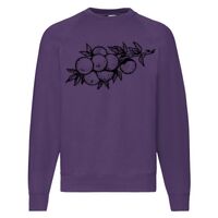 Classic 80/20 Raglan Sweatshirt Thumbnail