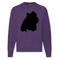 Classic 80/20 Raglan Sweatshirt Thumbnail