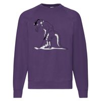 Classic 80/20 Raglan Sweatshirt Thumbnail