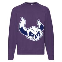 Classic 80/20 Raglan Sweatshirt Thumbnail