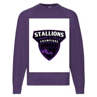 Classic 80/20 Raglan Sweatshirt Thumbnail