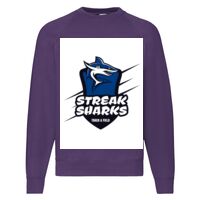 Classic 80/20 Raglan Sweatshirt Thumbnail
