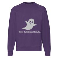 Classic 80/20 Raglan Sweatshirt Thumbnail