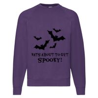 Classic 80/20 Raglan Sweatshirt Thumbnail