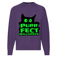 Classic 80/20 Raglan Sweatshirt Thumbnail