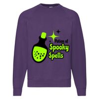 Classic 80/20 Raglan Sweatshirt Thumbnail