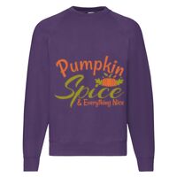 Classic 80/20 Raglan Sweatshirt Thumbnail