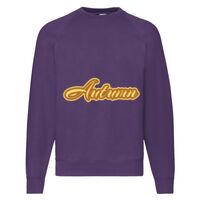 Classic 80/20 Raglan Sweatshirt Thumbnail