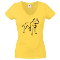 Lady-fit Valueweight V-Neck T-Shirt Thumbnail