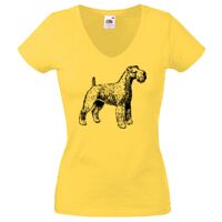 Lady-fit Valueweight V-Neck T-Shirt Thumbnail