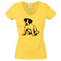 Lady-fit Valueweight V-Neck T-Shirt Thumbnail