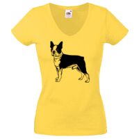 Lady-fit Valueweight V-Neck T-Shirt Thumbnail