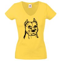 Lady-fit Valueweight V-Neck T-Shirt Thumbnail