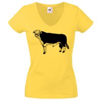 Lady-fit Valueweight V-Neck T-Shirt Thumbnail