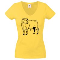 Lady-fit Valueweight V-Neck T-Shirt Thumbnail