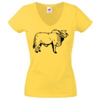 Lady-fit Valueweight V-Neck T-Shirt Thumbnail