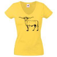 Lady-fit Valueweight V-Neck T-Shirt Thumbnail