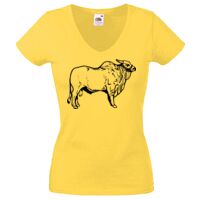 Lady-fit Valueweight V-Neck T-Shirt Thumbnail