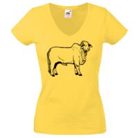 Lady-fit Valueweight V-Neck T-Shirt Thumbnail