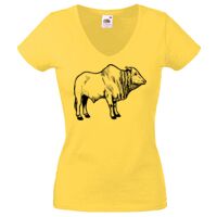 Lady-fit Valueweight V-Neck T-Shirt Thumbnail
