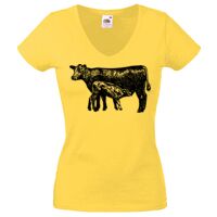 Lady-fit Valueweight V-Neck T-Shirt Thumbnail