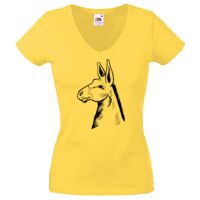 Lady-fit Valueweight V-Neck T-Shirt Thumbnail