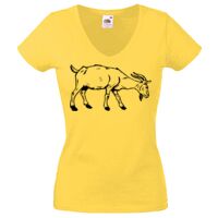 Lady-fit Valueweight V-Neck T-Shirt Thumbnail