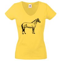 Lady-fit Valueweight V-Neck T-Shirt Thumbnail