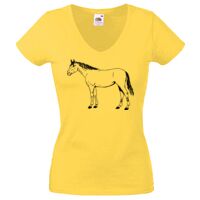 Lady-fit Valueweight V-Neck T-Shirt Thumbnail