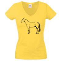 Lady-fit Valueweight V-Neck T-Shirt Thumbnail
